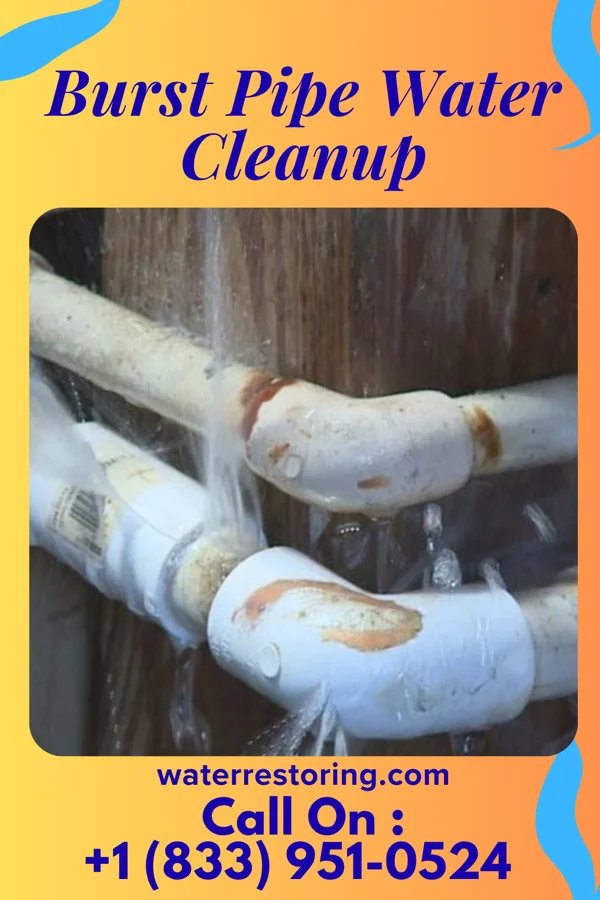 Burst Pipe Water Cleanup in Hurlock, MD