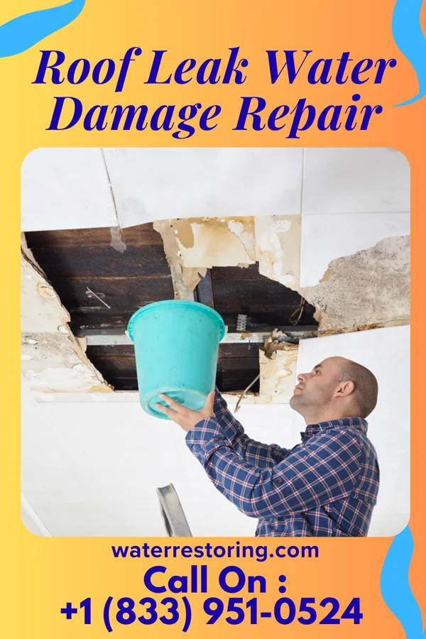 Roof Leak Water Damage Repair in Hurlock, MD