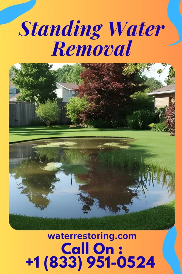 Standing Water Removal in Hurlock, MD